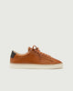 Chestnut